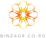 Binzagr logo